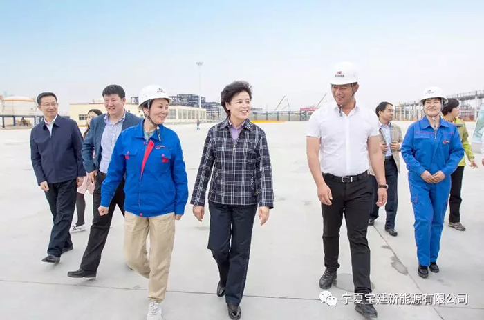 咸辉主席调研宝廷项目时强调:坚持两个“第一”打造高质量精品项目 咸辉主席调研宝廷项目时强调:坚持两个“第一”打造高质量精品项目