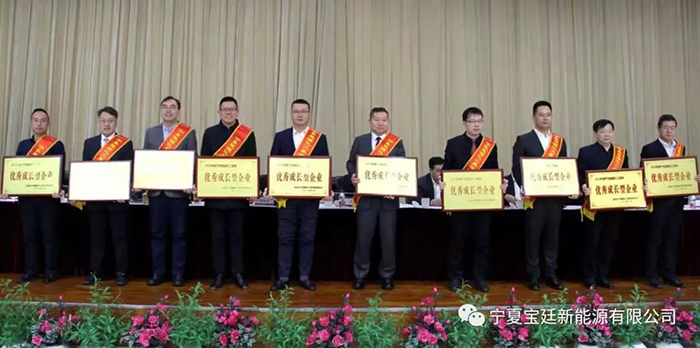 宝廷新能源荣获宁东基地“优秀成长型企业”荣誉称号 宝廷新能源荣获宁东基地“优秀成长型企业”荣誉称号