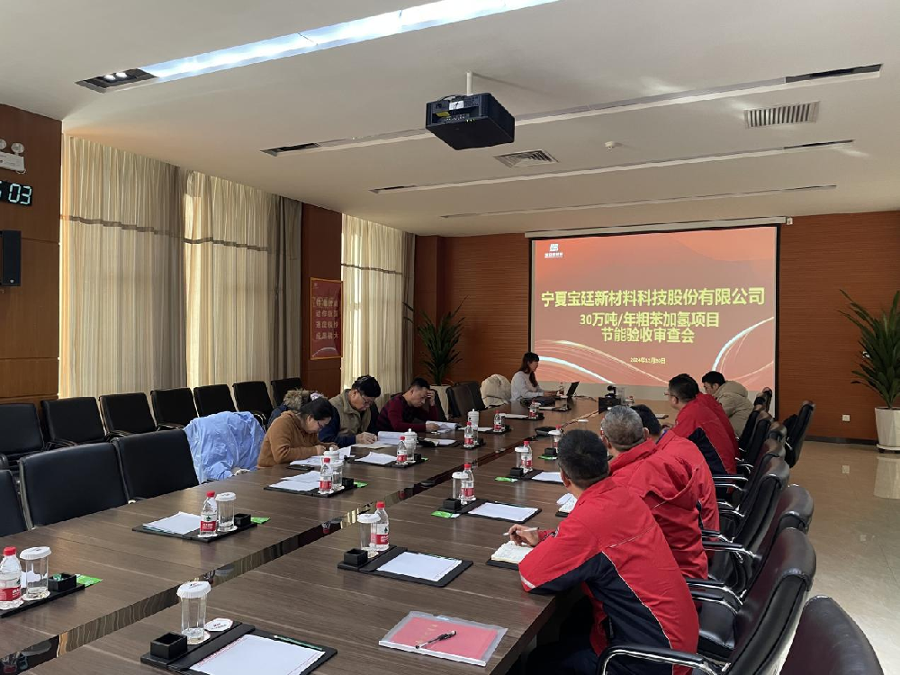 高端新材料项目一期——30万吨/年粗苯加氢精制工程项目节能验收圆满通过! 高端新材料项目一期——30万吨/年粗苯加氢精制工程项目节能验收圆满通过!