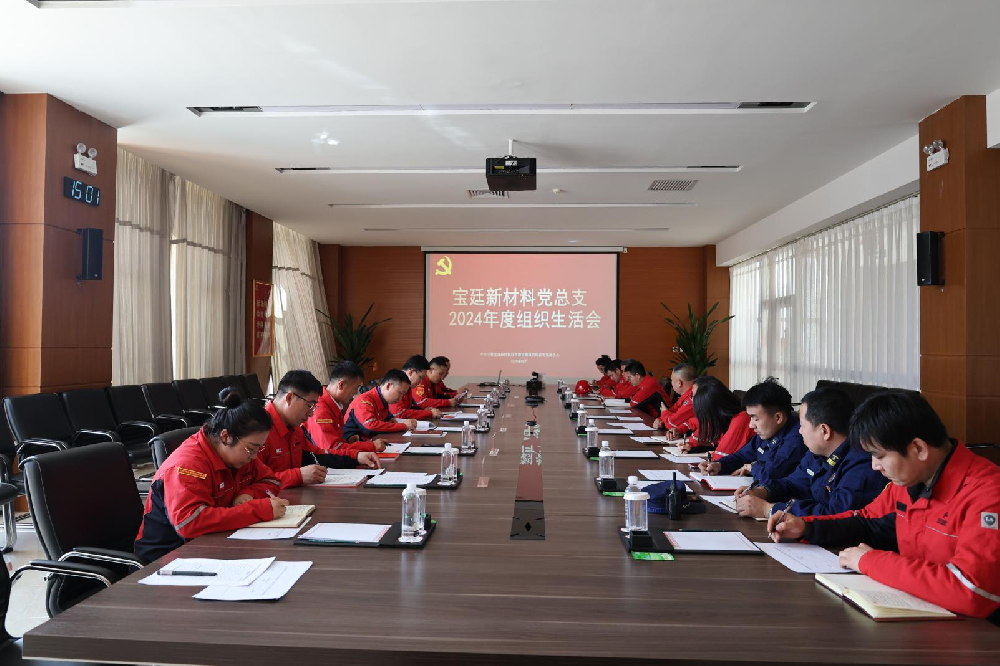 伟德体育官方网站党总支召开2024年度 组织生活会和民主评议党员大会